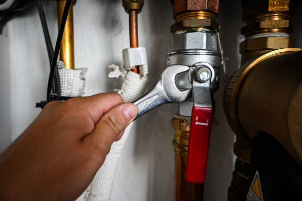 Best Plumbing Inspection Services  in Laguna Vista, TX